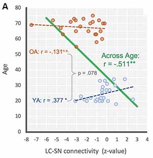 The Decline in Intrinsic Connectivity Between the Salience Network and Locus Coeruleus in Older Adults