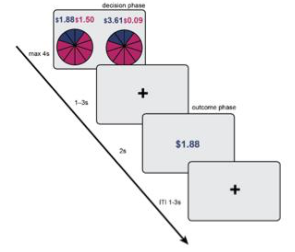 A six-year longitudinal study examining chronicity and timing of maltreatment effects on risk-related functional connectivity changes across adolescence